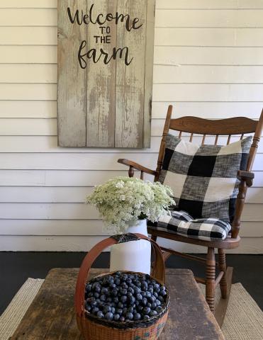 Sunrise Porch and Blueberries